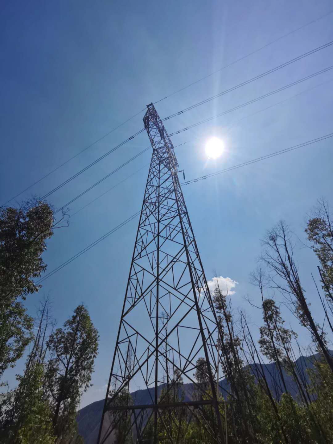 公司受電廠委托進(jìn)行擬拆除場(chǎng)外線進(jìn)行實(shí)地查勘